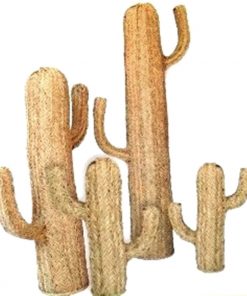 Cactus de Esparto en natural varias medidas